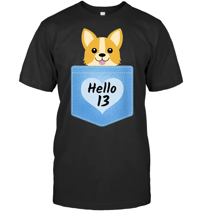 13th Birthday Gift Hello 13 Pocket Puppy Dog T Shirt